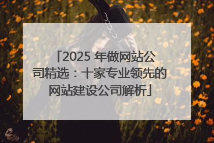 2025 年做网站公司精选：十家专业领先的网站建设公司解析