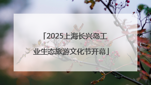 2025上海长兴岛工业生态旅游文化节开幕