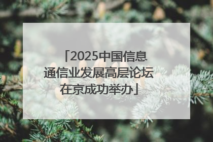 2025中国信息通信业发展高层论坛在京成功举办