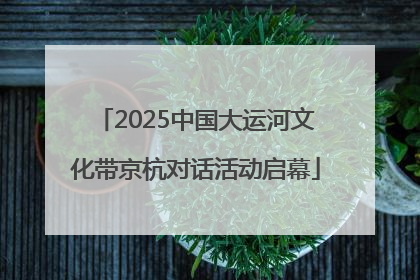 2025中国大运河文化带京杭对话活动启幕