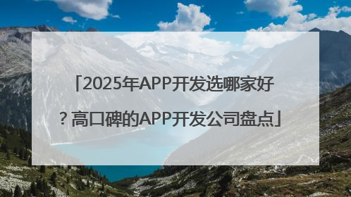 2025年APP开发选哪家好？高口碑的APP开发公司盘点
