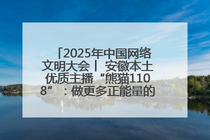 2025年中国网络文明大会丨 安徽本土优质主播“熊猫1108”：做更多正能量的事情 带给大家快乐