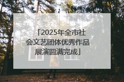 2025年全市社会文艺团体优秀作品展演圆满完成