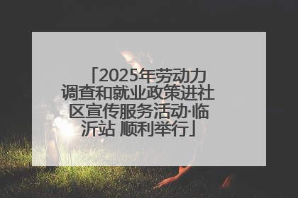 2025年劳动力调查和就业政策进社区宣传服务活动·临沂站 顺利举行