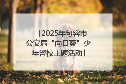 2025年句容市公安局“向日葵”少年警校主题活动