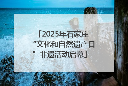 2025年石家庄“文化和自然遗产日”非遗活动启幕