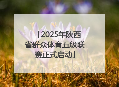 2025年陕西省群众体育五级联赛正式启动
