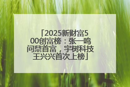 2025新财富500创富榜：张一鸣问鼎首富，宇树科技王兴兴首次上榜