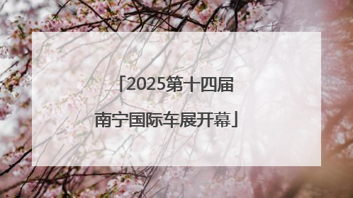 2025第十四届南宁国际车展开幕