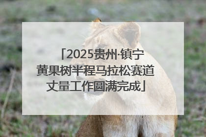 2025贵州·镇宁黄果树半程马拉松赛道丈量工作圆满完成