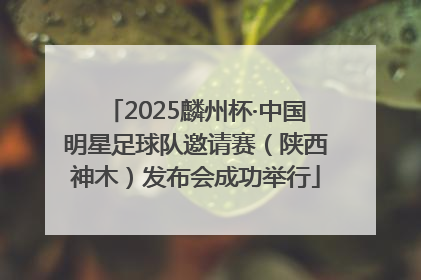 2025麟州杯·中国明星足球队邀请赛（陕西神木）发布会成功举行