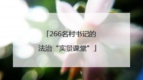 266名村书记的法治“实景课堂”