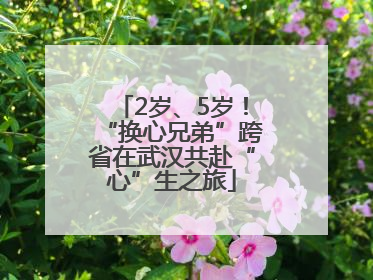 2岁、5岁！“换心兄弟”跨省在武汉共赴“心”生之旅