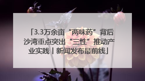 3.3万余亩“两味药”背后 沙湾重点突出“三性”推动产业实践丨新闻发布最前线
