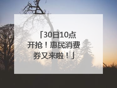 30日10点开抢！惠民消费券又来啦！