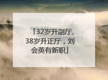 32岁升副厅、38岁升正厅，刘会英有新职