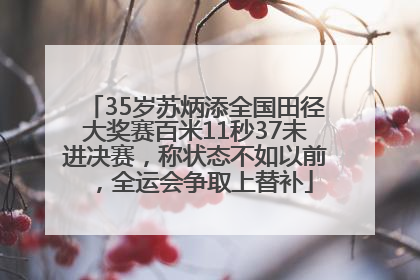 35岁苏炳添全国田径大奖赛百米11秒37未进决赛，称状态不如以前，全运会争取上替补