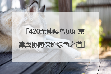 420余种候鸟见证京津冀协同保护绿色之道