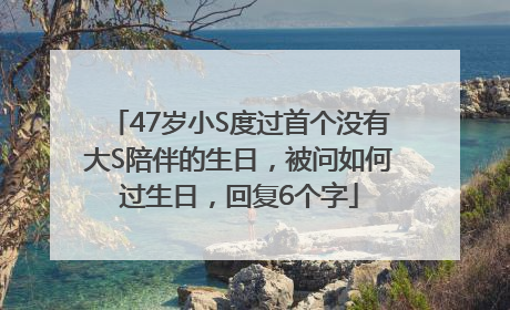 47岁小S度过首个没有大S陪伴的生日，被问如何过生日，回复6个字
