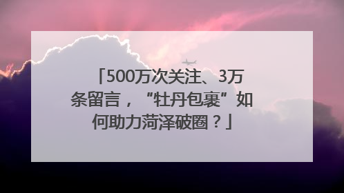 500万次关注、3万条留言，“牡丹包裹”如何助力菏泽破圈？