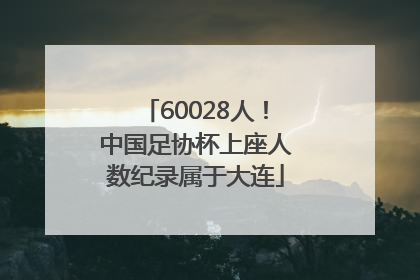 60028人！中国足协杯上座人数纪录属于大连