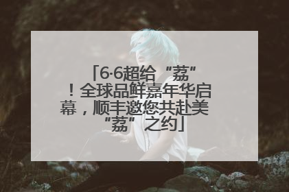 6·6超给“荔”！全球品鲜嘉年华启幕，顺丰邀您共赴美“荔”之约