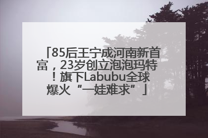 85后王宁成河南新首富，23岁创立泡泡玛特！旗下Labubu全球爆火“一娃难求”