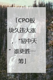 CPO板块久违大涨，“易中天”谁更胜一筹