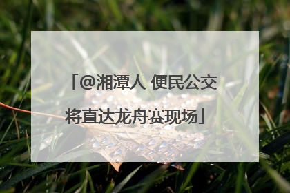 @湘潭人 便民公交将直达龙舟赛现场