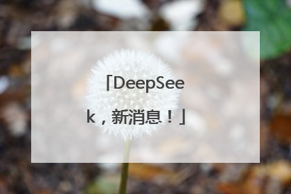 DeepSeek，新消息！
