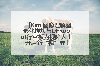 Kimi图像理解图形化模块与DFRobot行空板为视障人士开启新“视”界