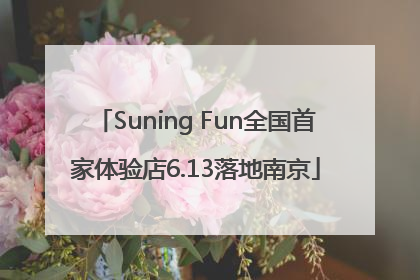 Suning Fun全国首家体验店6.13落地南京